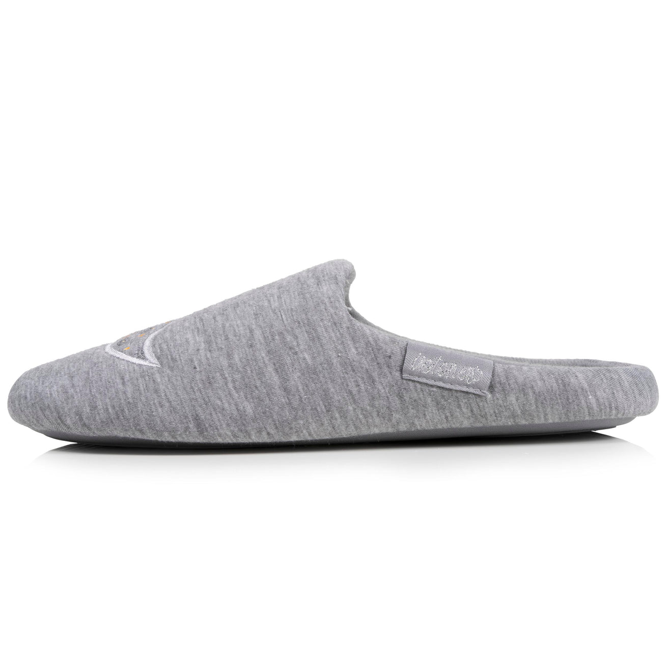 Zapatillas de casa Chinelas Mujer Grises