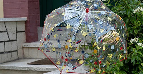 <strong>PARAGUAS</strong>