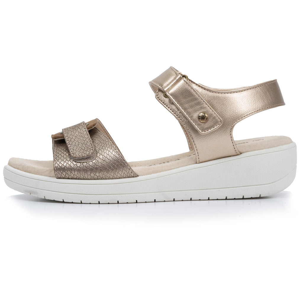 #coloris_camel