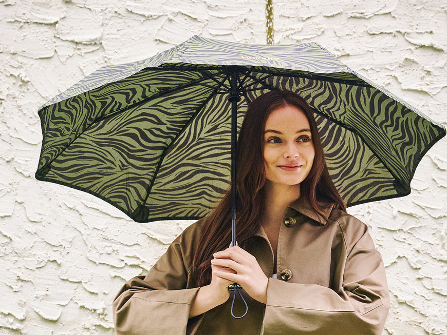 ¡LLUEVE!